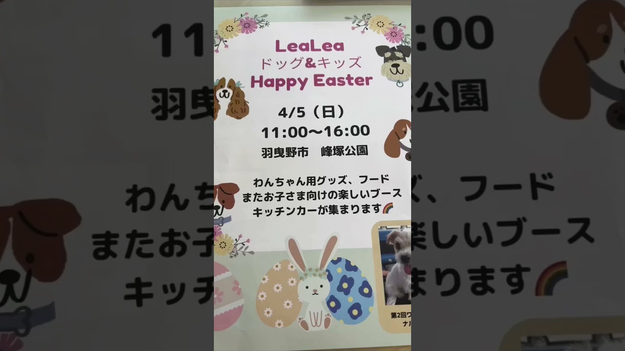 本日羽曳野市峰塚公園にて山ねこ座の保護猫たちも来るよ　　　　　　　　　#山ねこ座   #毎日が譲渡会  #里親募集