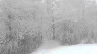 Death Diaries  - Tagebuch einer Totgeburt (Bethlehem Cover)