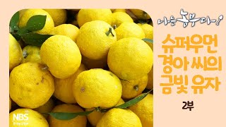 [나는농부다 224회 2부] 슈퍼우먼 경아 씨의 금빛 유자