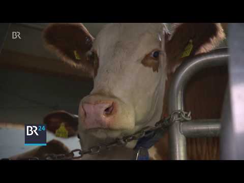 Alles in Butter? | BR24