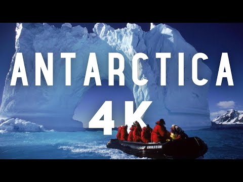 Antarctica 4k Video Ultra HD | Antarctica 4k Video | Antarctica 4k Drone | Neko Harbor