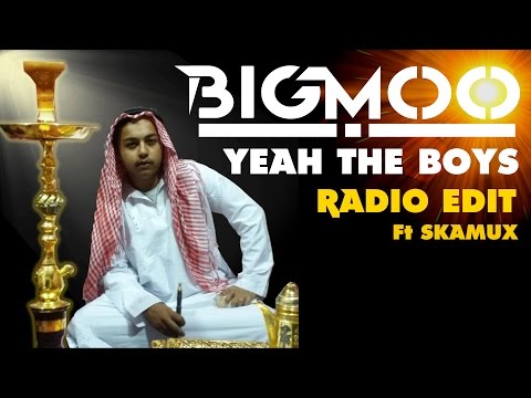 BIGMOO ft Skamux - Yeah the Boys (Radio Edit) - Lyric Video