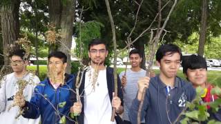 Macbeth: The Fall of a Tyrant