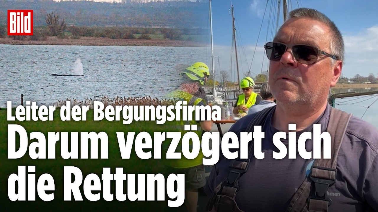 DRAMA UM OSTSEE-WAL: Rettungsaktion auf Freitag verschoben