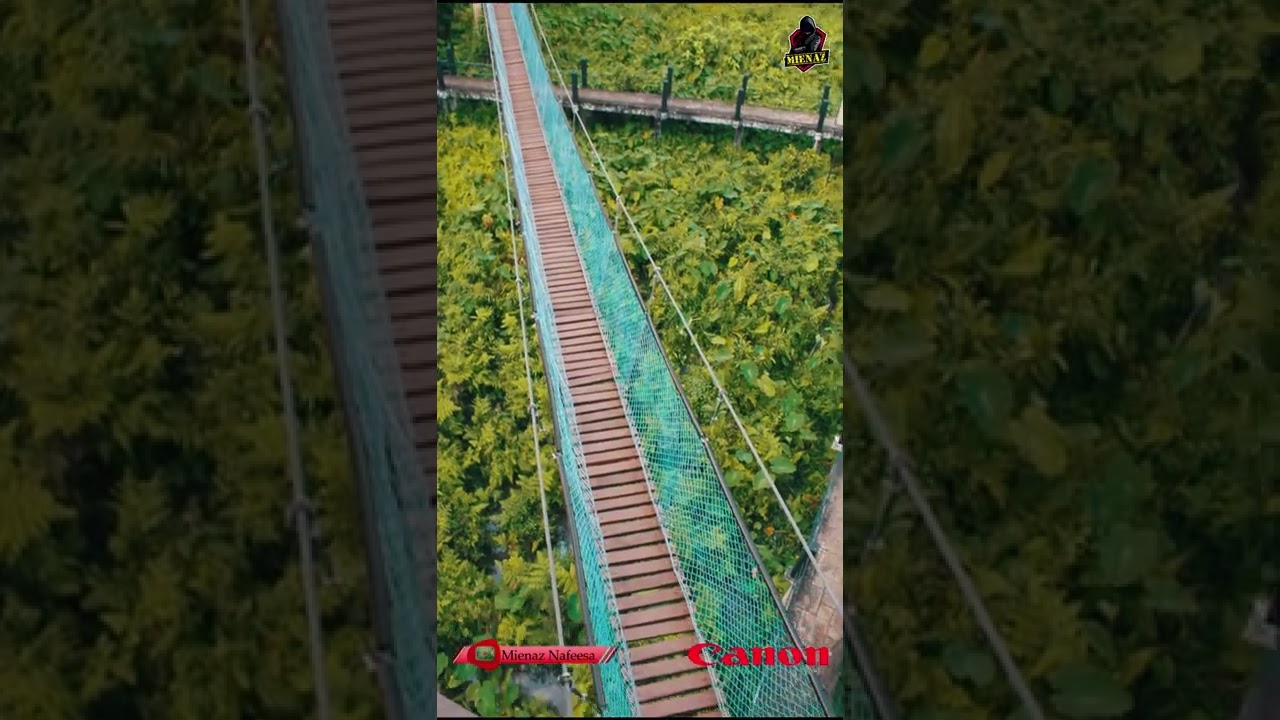 YouTube Short thumbnail