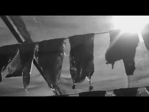 Trabajo Foley (Cinematografía)