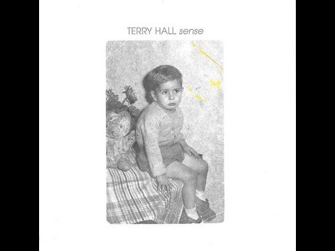 Terry Hall - God Only Knows   (Beach Boys cover)