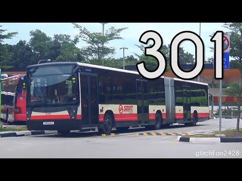 [SMRT] (Retired) TIB1246J on Service 301 - Mercedes Benz O405G Hispano Habit