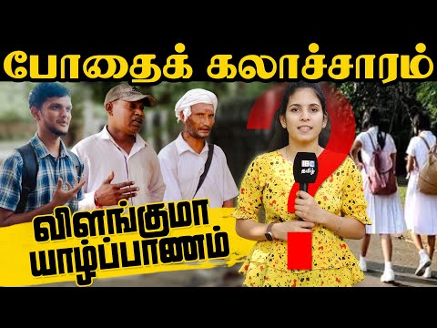 போதைக் கலாச்சாரம் விளங்குமா யாழ்ப்பாணம்! | PUBLIC BITES - Maithily