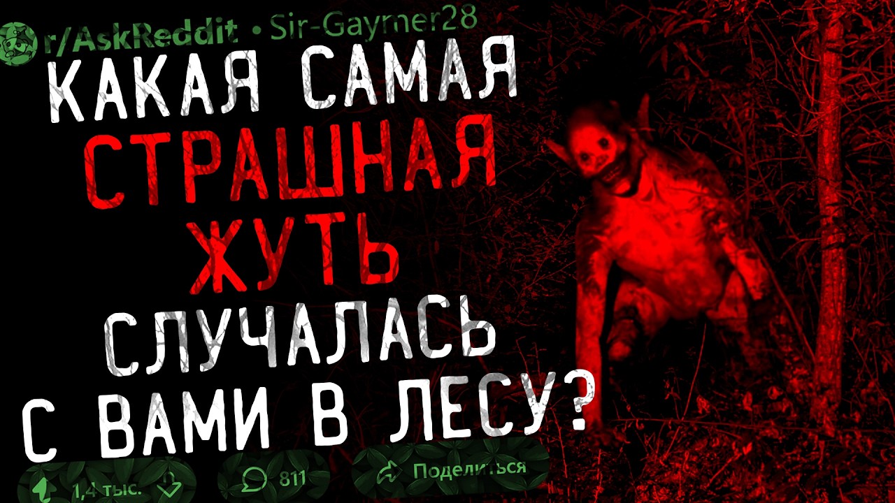 Что Самое ЖУТКОЕ/СТРАШНОЕ Вы Видели в ЛЕСУ? #8 (лесные истории)