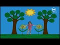 Plaza Sésamo Sesame Street Dancing With Flowers Song Latin Spanish