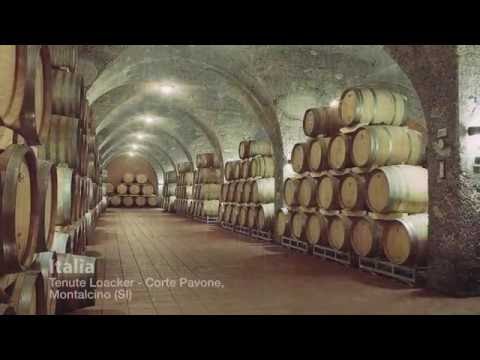 Видеообзор