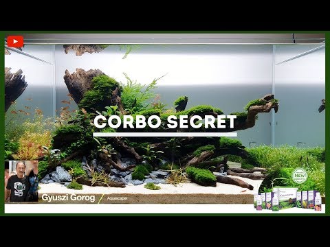 Watch Video on YouTube