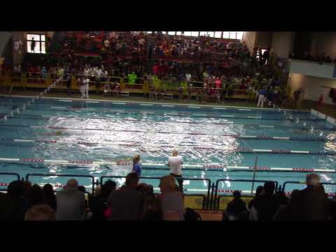 Sestini N.(2) Memisha C.(3) Mirto L.(4) 100DO - S.Marcellino 17.11.19