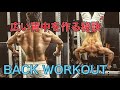 独創的トレーニング逆さ吊りダンベルロウ[Back Workout]