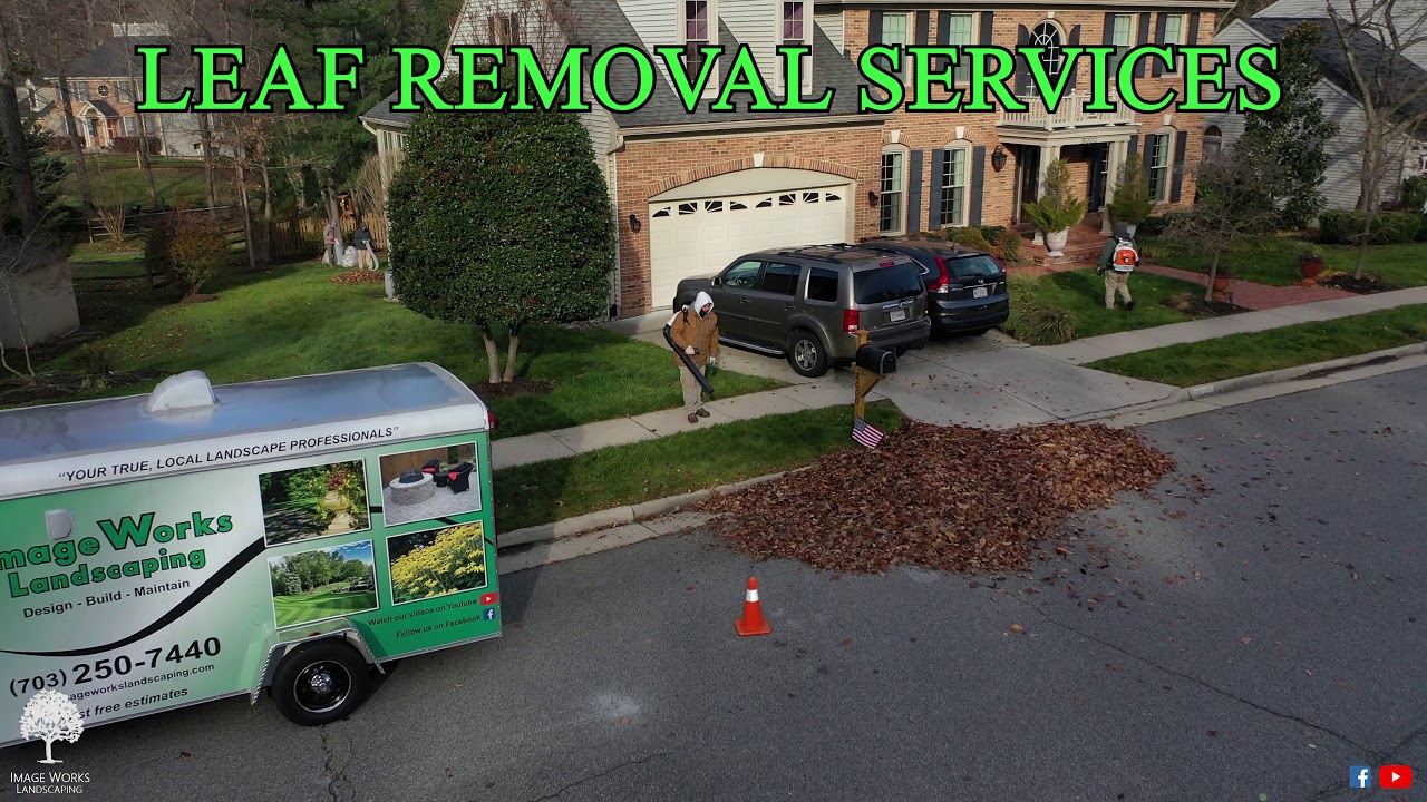 Residential Leaf Removal Services