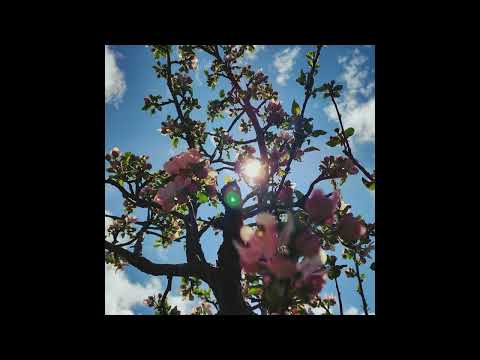 Sunbyonic - Bloom