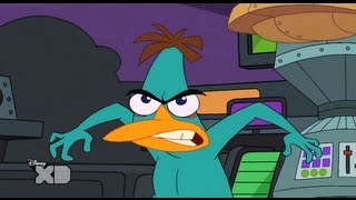 Phineas and Ferb - Perrysodes - Doofapus video