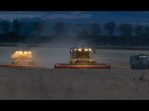 Żniwa 2022 Stadnina Koni Prudnik  Harvest Claas Lexion x5 Epic Cinematic drone shot 2022