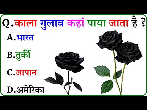 GK Question || GK In Hindi || GK Question and Answer || GK Quiz ||