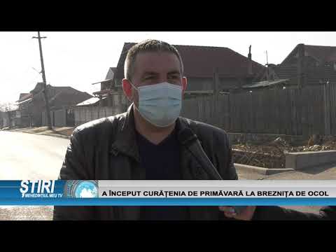 A ÎNCEPUT CURĂȚENIA DE PRIMĂVARĂ LA BREZNIȚA DE OCOL