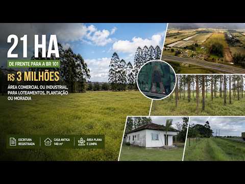 [420] ÁREA COMERCIAL OU INDUSTRIAL COM 21HA DE FRENTE PARA A BR-101 CASA FIBRA ÓTICA  LUZ R$ 3 MI