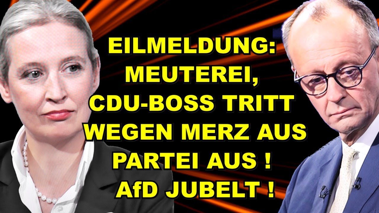EIL: CDU-BOSS TRITT AUS! AfD darf JUBELN!