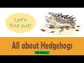 All about Hedgehogs