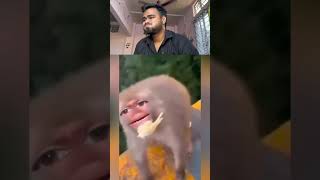 Try to don’t laughing #funnyanimal #funnyanimals #cuteanimals #animals #funnythings #funny #pets