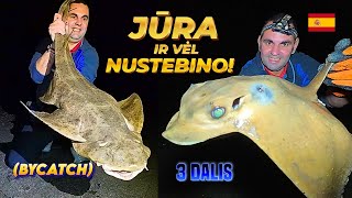Fuerteventura fishing [3] Impressive catches | Shore sea fishing #stingrayfishing #beachfishing