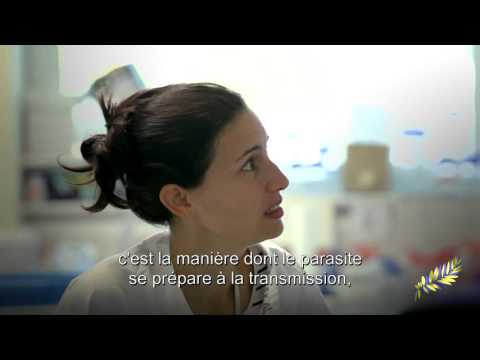 Sanofi - Prix Sanofi-Institut Pasteur 2015 : rencontre avec Professeur Keith Matthews