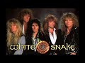 Whitesnake - Cheap & Nasty