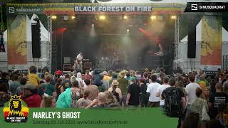 Marleys Ghost beim Black Forest on Fire Reggae Festival 2023 in Berghaupten
