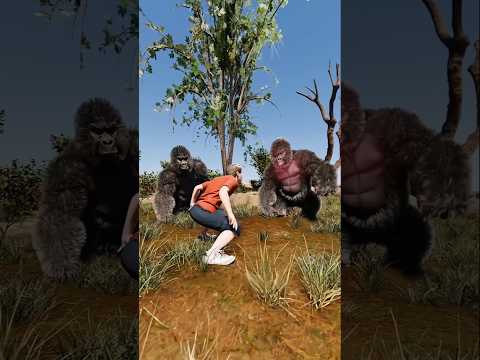 NEVER Do This If You’re Face-to-Face With a Gorilla