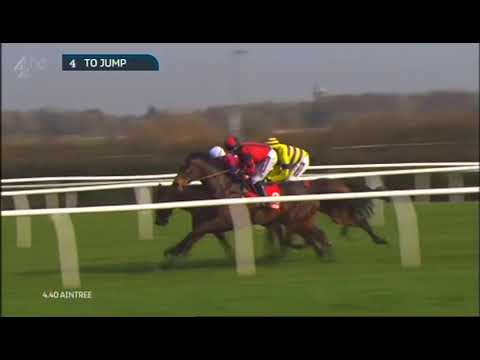 2015 Betfred Red Rum Handicap Chase - Aintree meeting