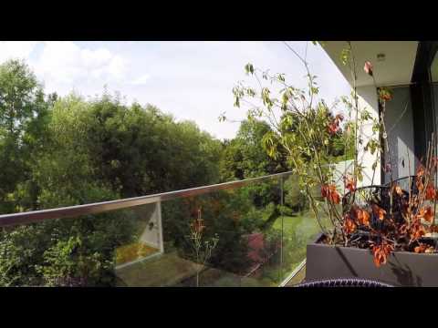 ST-135976 - Exklusive Wohnung mit Balkon und Reinigungsservice in Stuttgart Weilimdorf