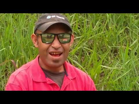 ENSO HAIME- J-Taikzie (S.K.B. RECORDS)