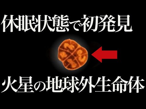 火星の生命の証拠は破壊された可能性がある