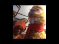 Tooba Meets DJ Lance Rock From Yo Gabba Gabba The MC Bat Commander From The Aquababats