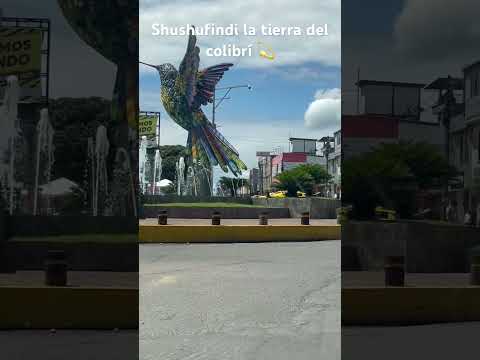 Sucumbios - Shushufindi la tierra del colibrí 💫