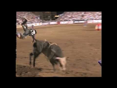 Rocky bucks Ty Murray - 99 PBR Tunica