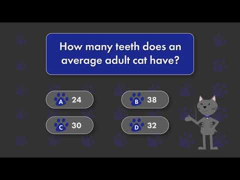 Trivial Purrrsuit: How many teeth does an average adult cat have?