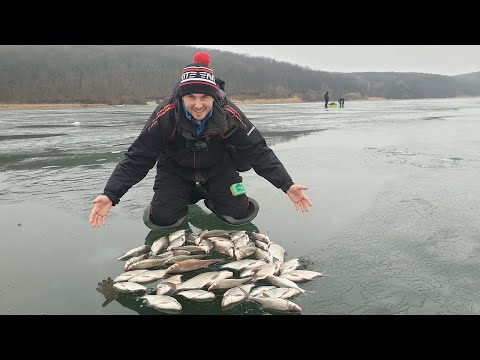 Фото Ловля леща зимой на мормышку. Печенежское водохранилище. Максимум рыбалки.