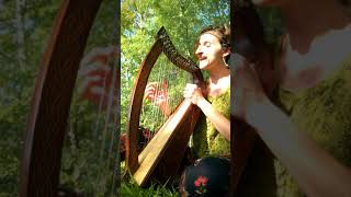 &#39;Brownish (Yellow) Spider&#39;, mewithoutYou Cover