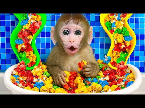 Macaco BinBin: Uma Aventura Fantástica - Explora a Casa Cheia de Pipocas Coloridas - BinBin Portugal