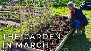 The Garden in March