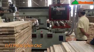 WOODMASTER. MÁY KHOAN MỘNG ÂM CNC 3 Đầu trục khoan sâu giá rẻ nhất thị trường vn 2020