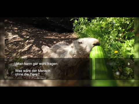 Die Zone: "Das Schicksal des Menschen ist der Mensch" - Interpretierte Zitate