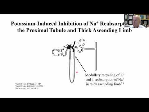 Hyperkalemia Treatment in CKD - BC Kidney Days 2020