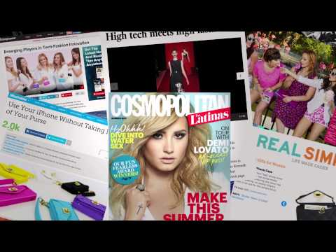 Purse Case Shark Tank Pitch